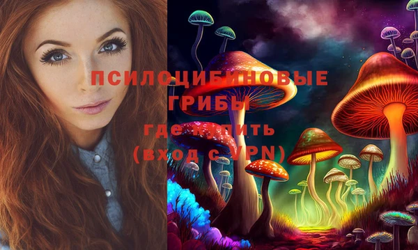 хмурый Покров
