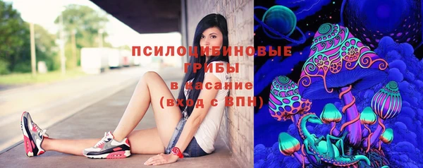 амф Кохма