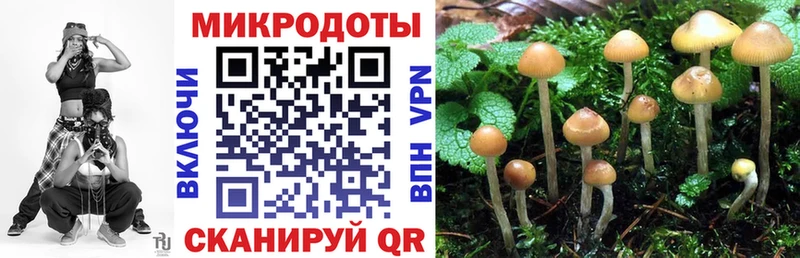 Галлюциногенные грибы Cubensis  где можно купить наркотик  Котельниково 
